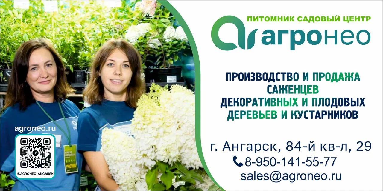 Осенний ценопад!