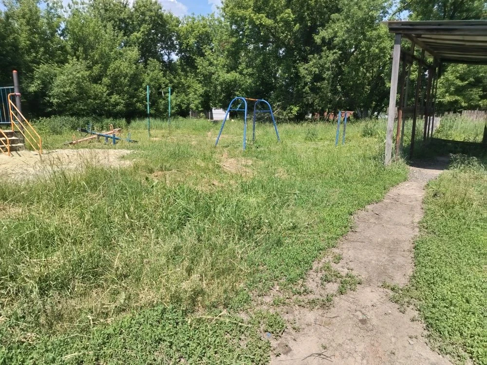 В соответствии с графиком покоса сорной растительности, продолжаются работы по окосу территории мног