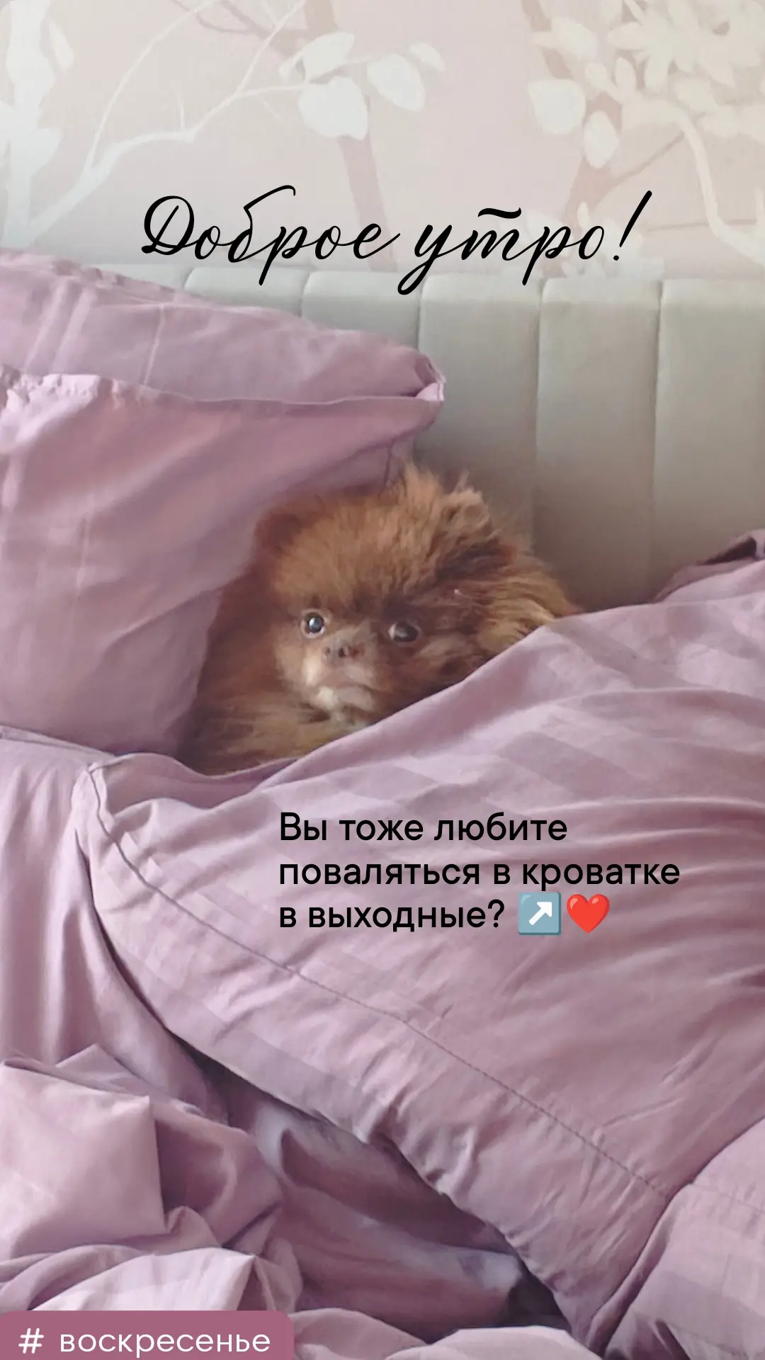 Доброе воскресное утро!