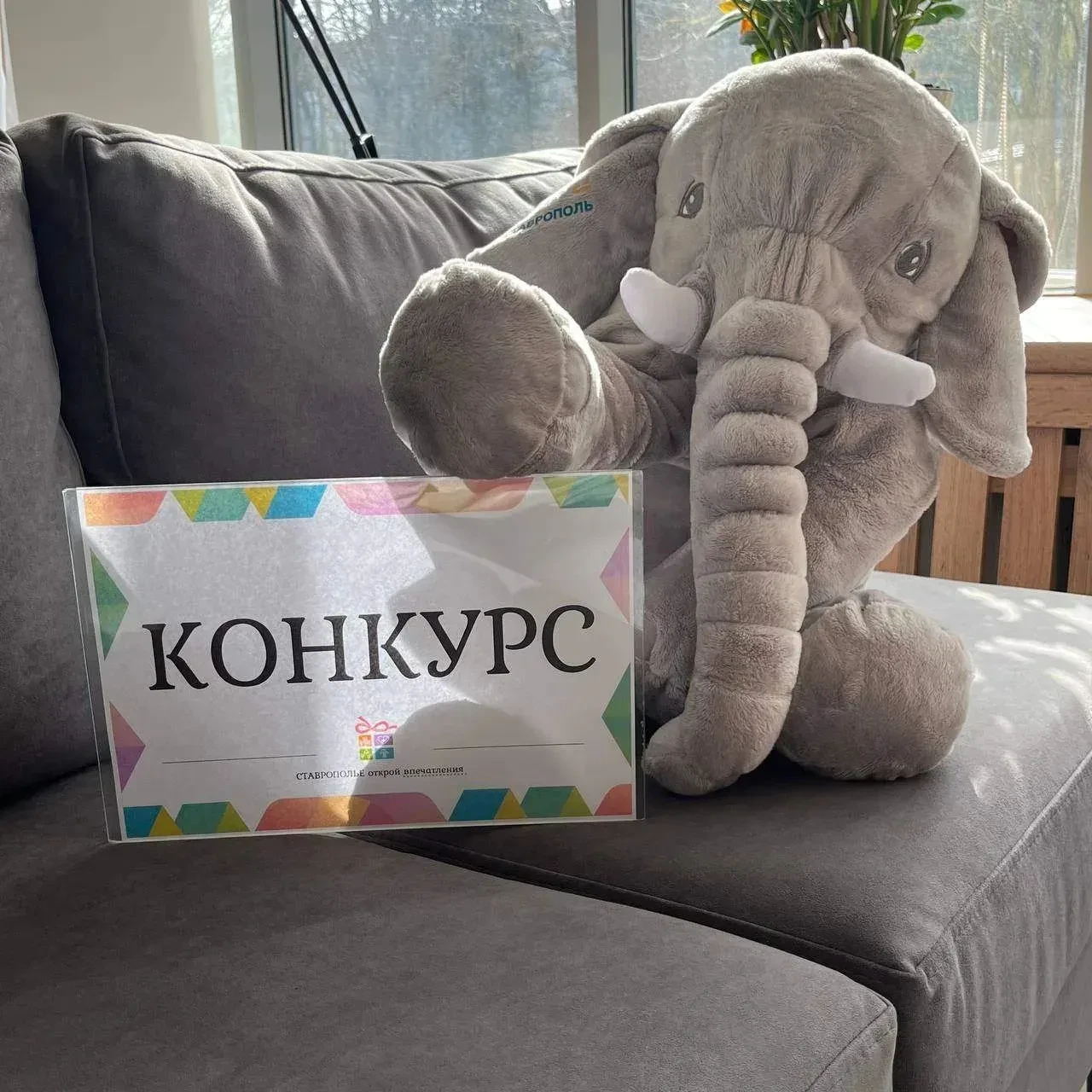 🎨 В Ставрополе стартует конкурс «Алфавит Ставрополя в формате раскраски». Жителям пред...