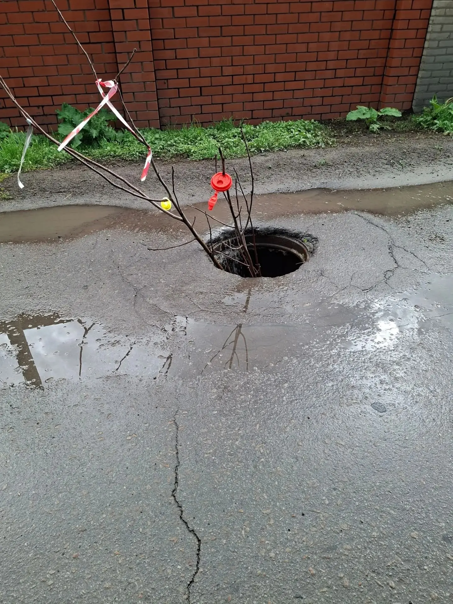 На Кольцевой появился новый дорожный знак, сделанный из веток. Он поможет водителям избежать столкно