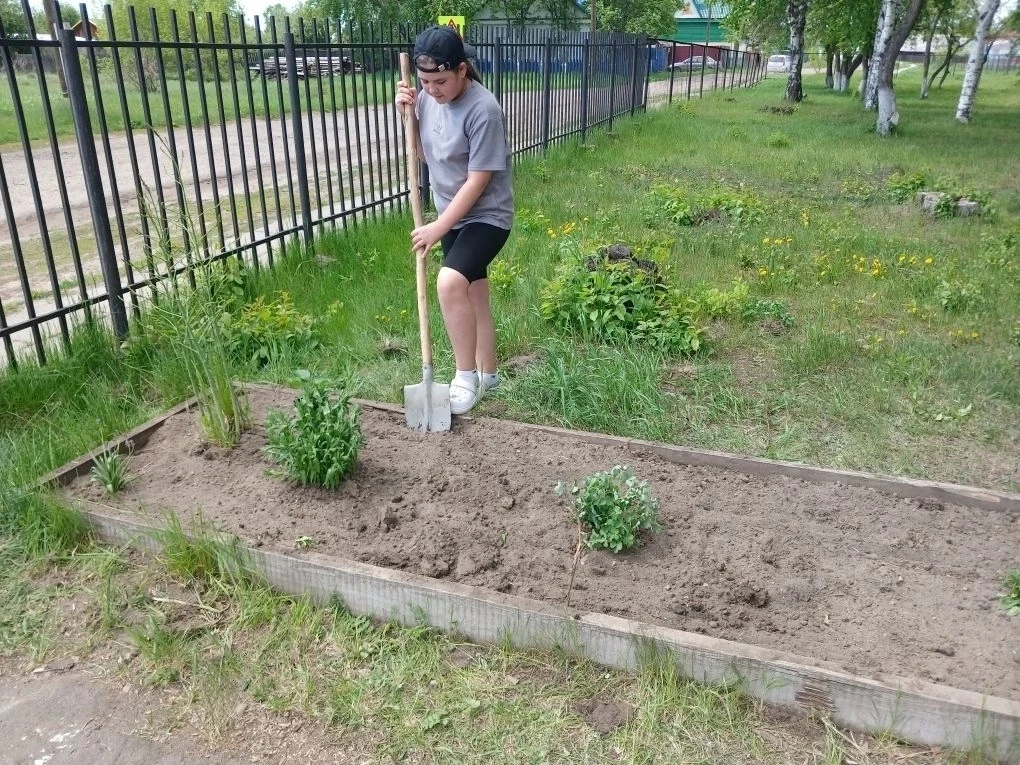 От подоконника до цветника — шаг, полный заботы и гордости! 🌱