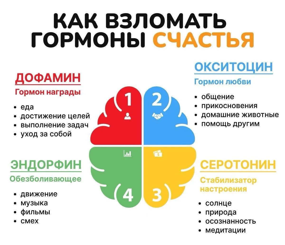 🌀🌀🌀🌀🌀🌀🌀🌀