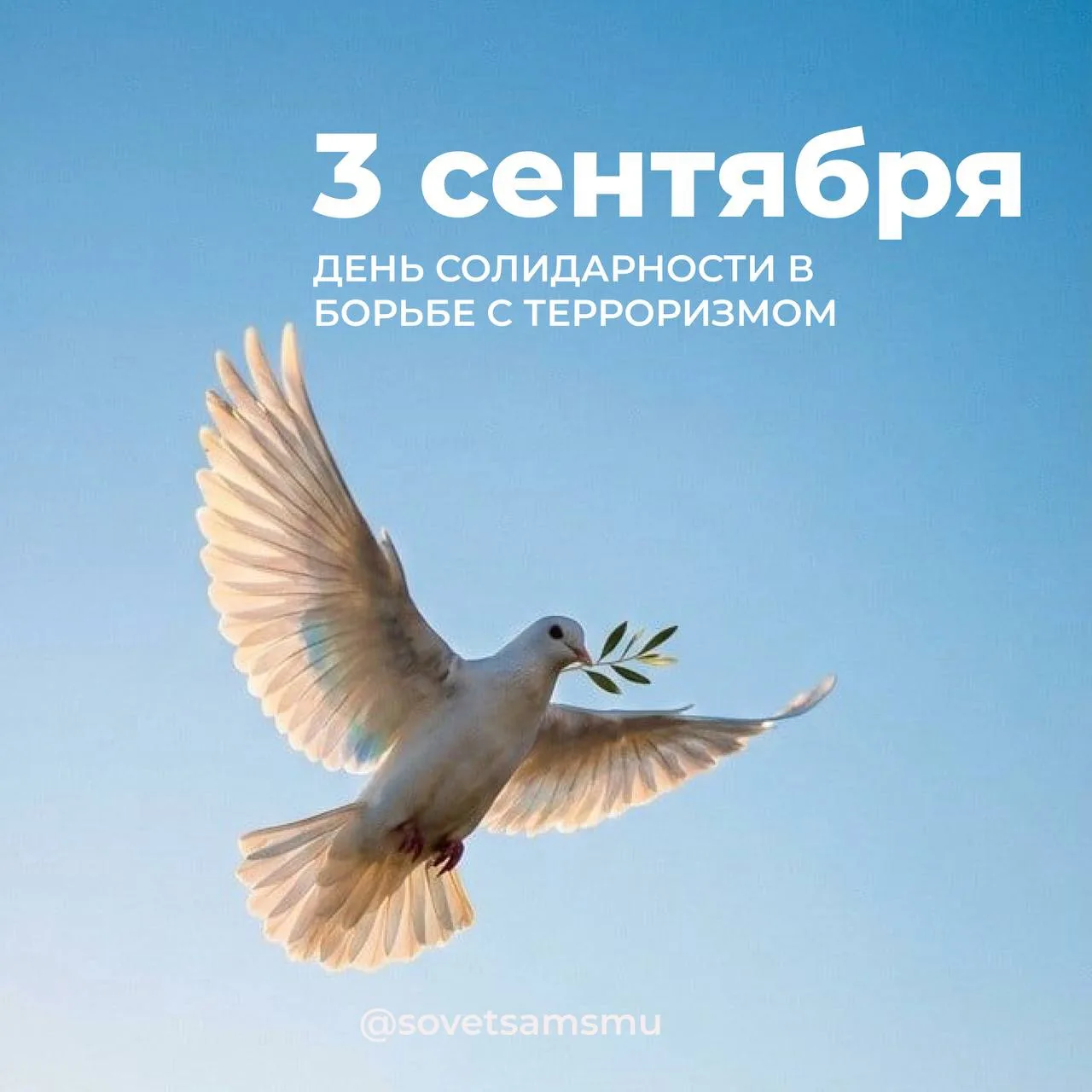 🕊️ 3 сентября — День солидарности в борьбе с терроризмом