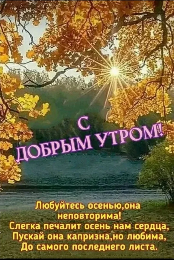 С добрым утром друзья 🤗🤗🤗