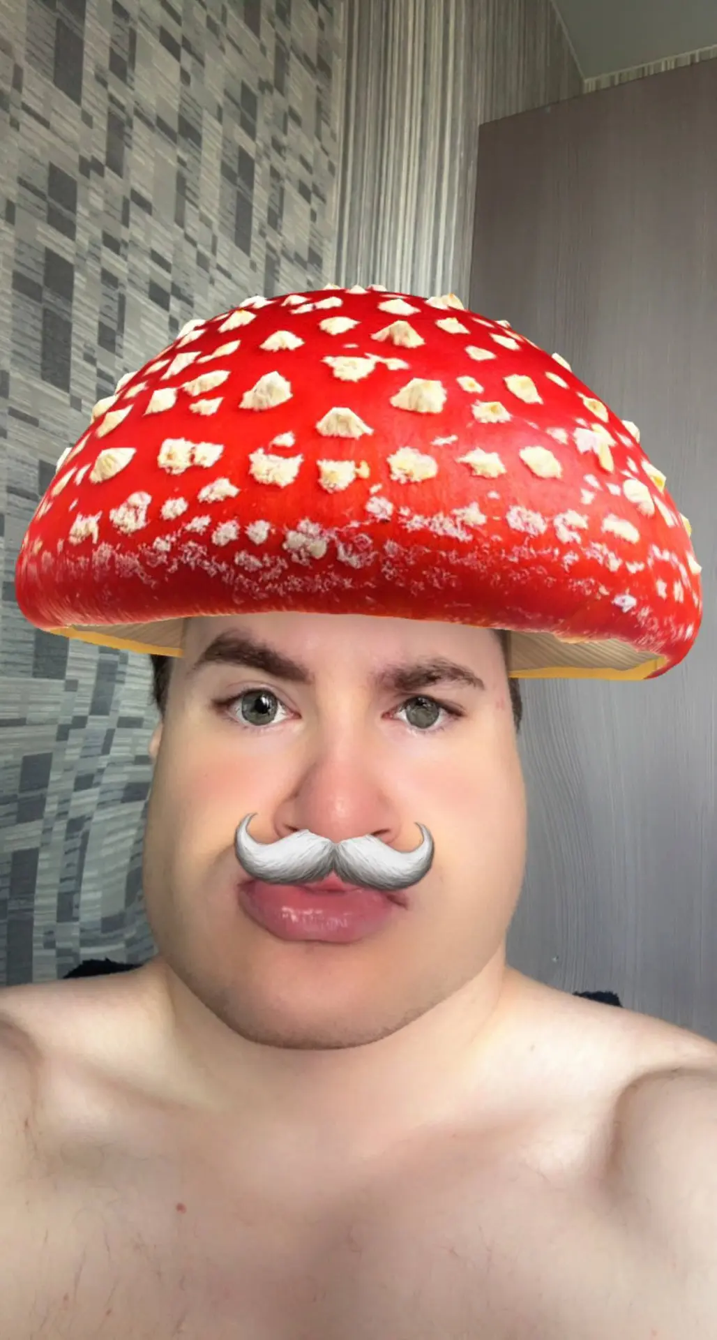 Мухомор 69