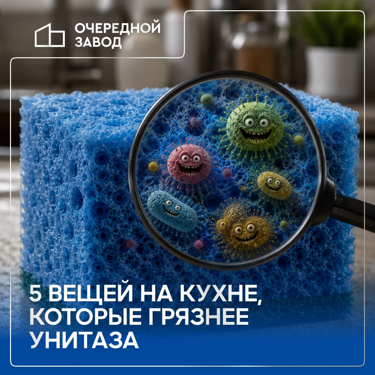 5 вещей на кухне, которые грязнее унитаза 😭