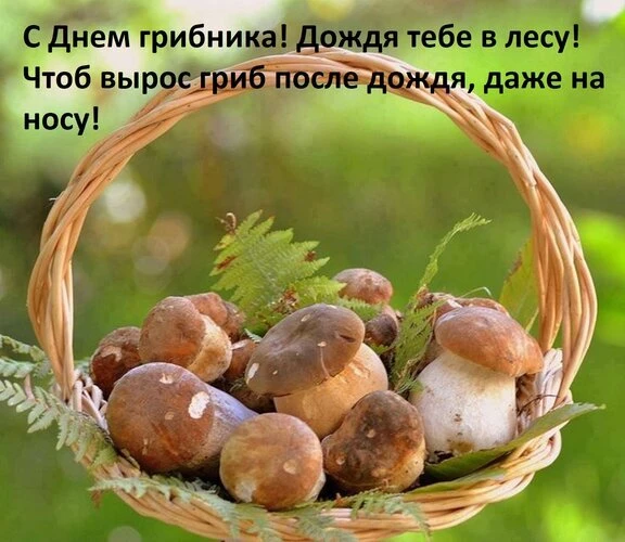 🎉 С Днём грибника! 🎉