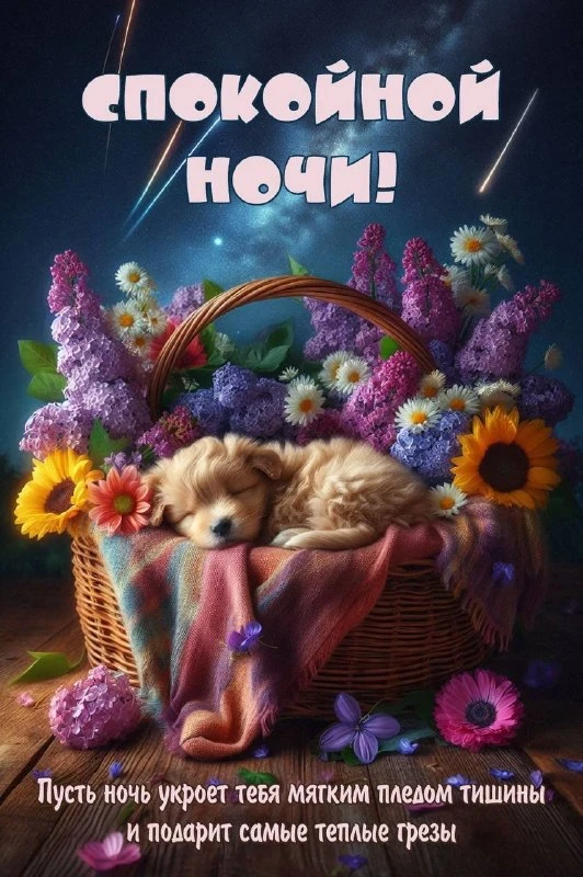 💌 Открытки на любой случай