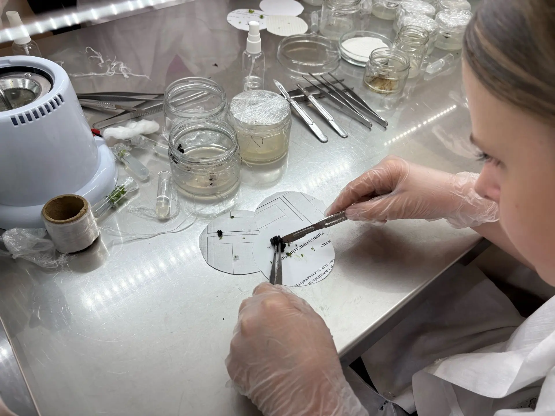 🌱 Открыт прием заявок на профильную смену «Основы биотехнологии» 🧪