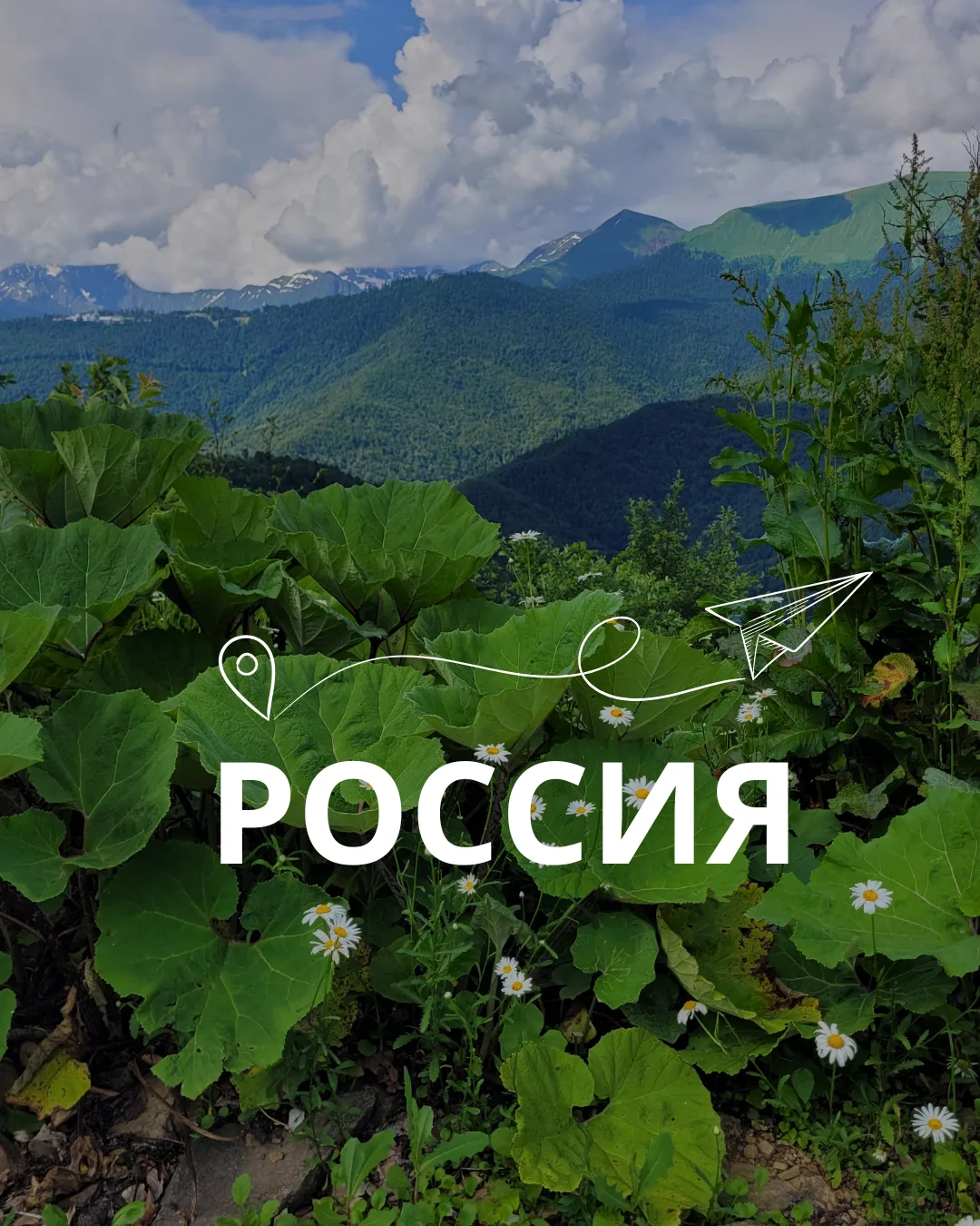 Летний Сочи — это пляжный отдых, прогулки по набережным и поездки в горы, а также насыщенная програм