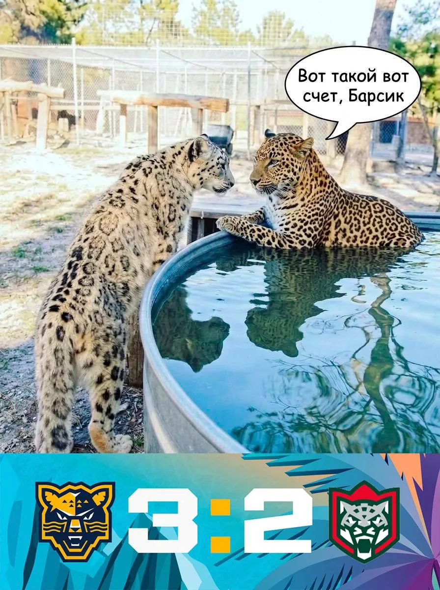 Вот такой вот счёт 😉