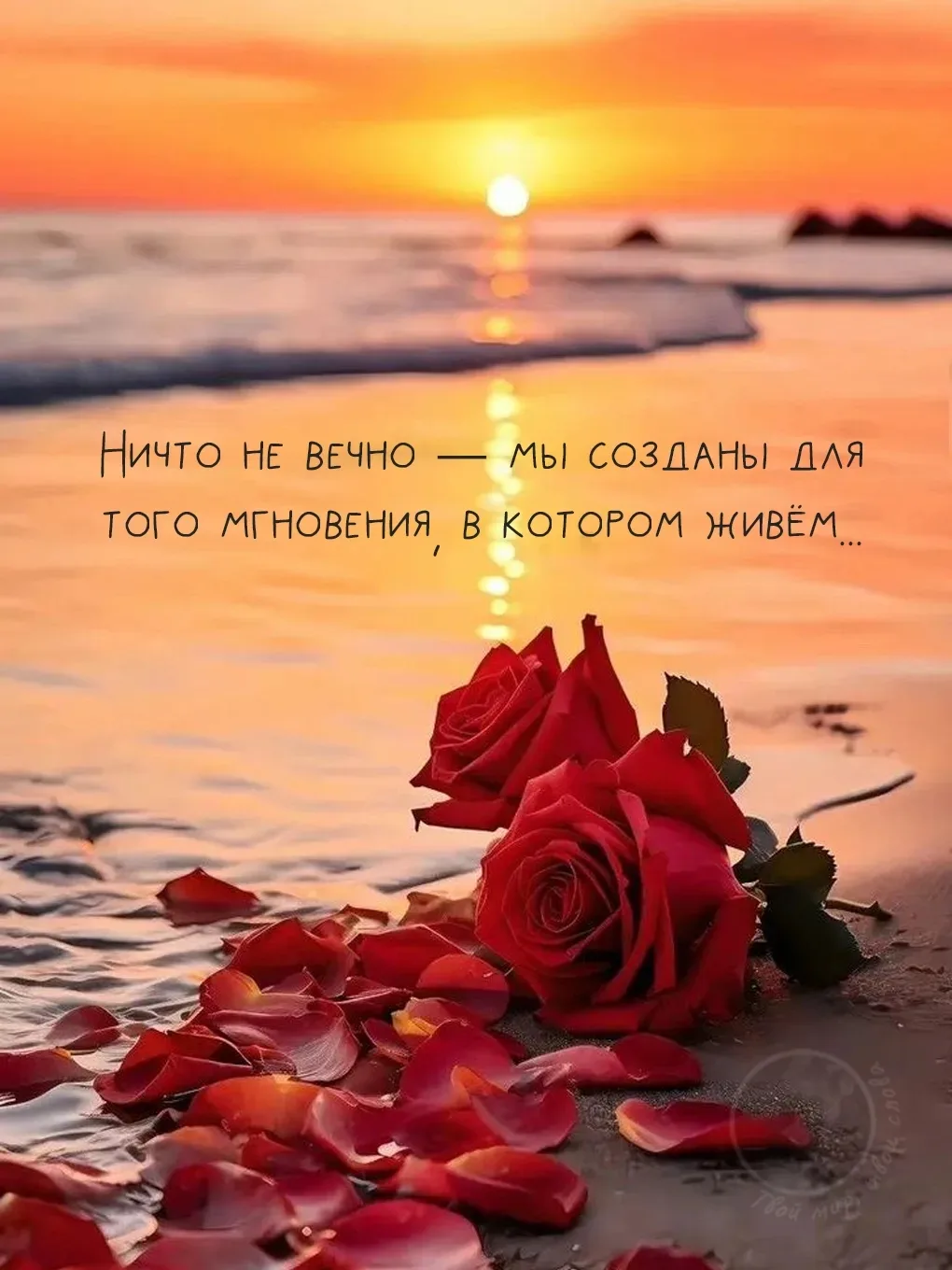 ♥️Пусть в доме будет чисто и тепло,
