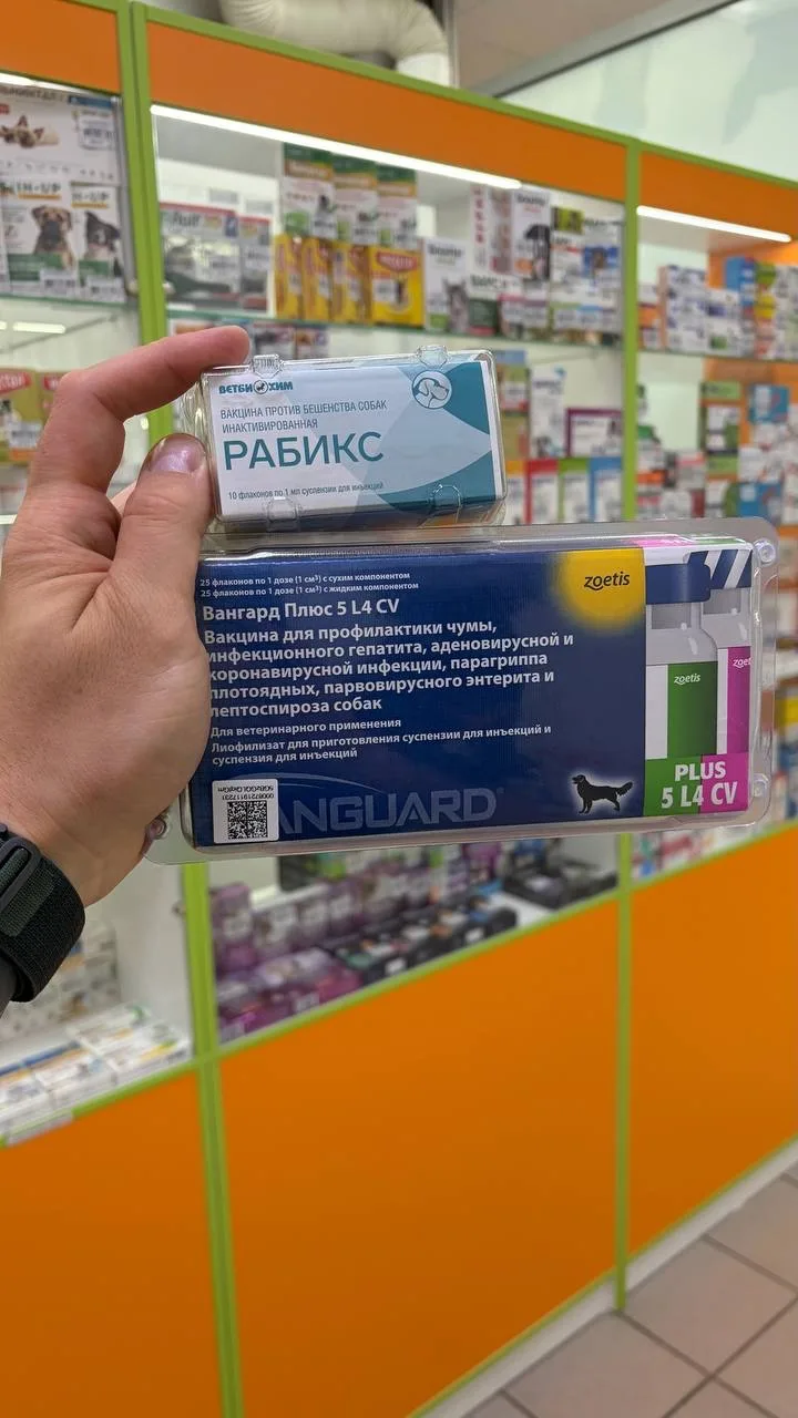 🐾 АКЦИЯ -30% НА ВАКЦИНЫ! 🐾