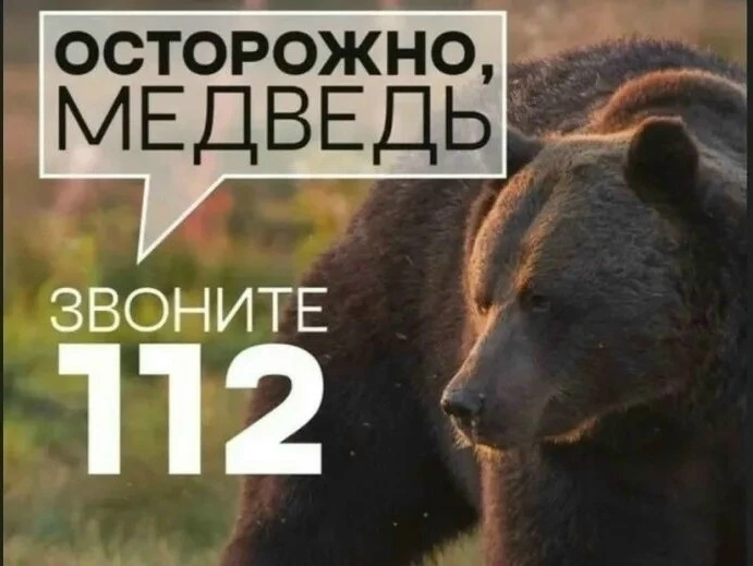 ⚡❗МЕДВЕДЬ В ЛЕСАХ МОРДОВИИ