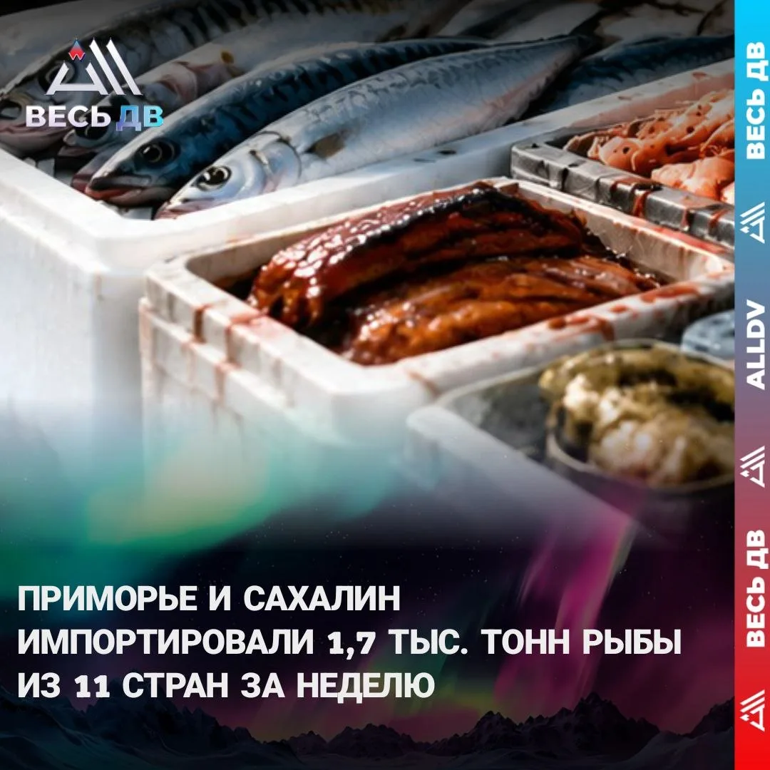 Россельхознадзор отчитался о поставках