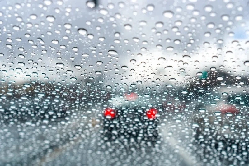 Синоптики прогнозируют дождливую неделю 🌂