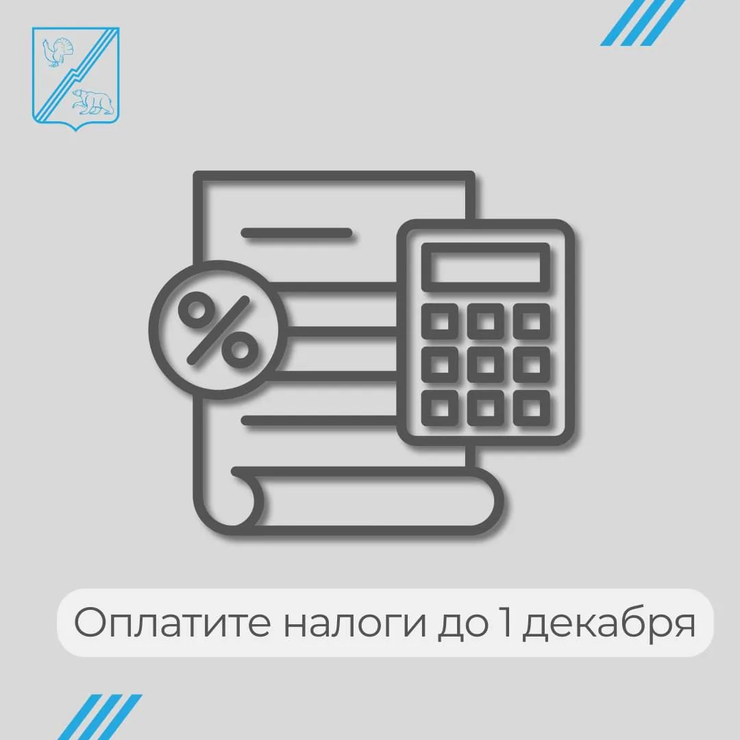 Налоговая уже рассылает уведомления: в них — суммы транспортного, земельного и имуществ...