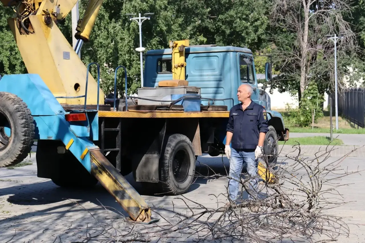 МАУ «Благоустройство» совместно с ЕДДС провели опиловку сухих деревьев в парке «Я-ПАТРИ...