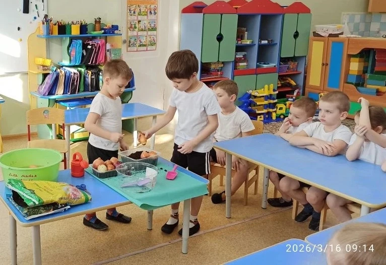 🧅🧅🧅Посадили огород! Посмотрите, что растет!