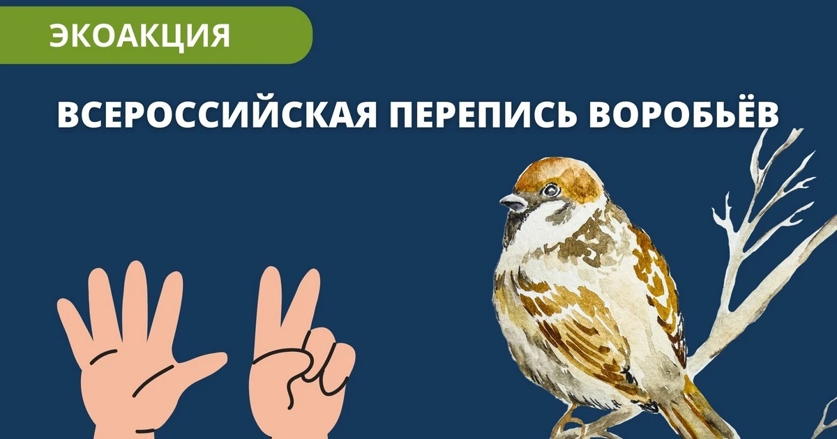 🎉 С 8-16 августа — всероссийская акция переписи воробьёв! 🎉