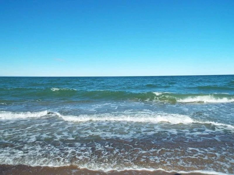 🌊 С Днём моря, друзья!