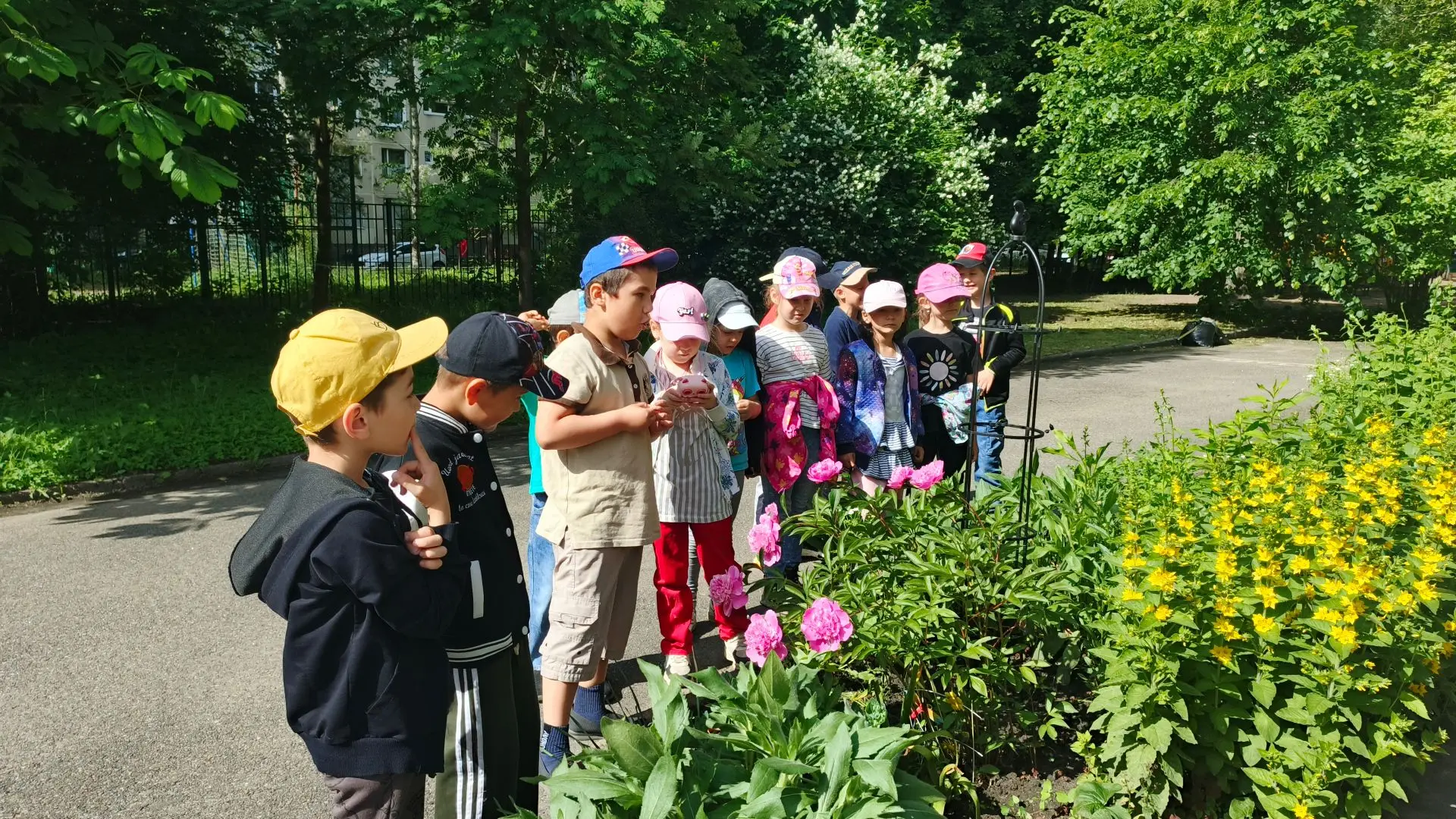 Творчество летом не знает каникул! 🌞