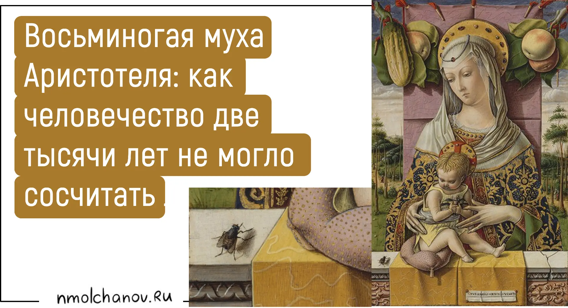 Лето - это, конечно, хорошо. Но помимо нас им вовсю наслаждаются еще и мухи. Которые на...