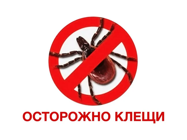 Об эпидемиологической ситуации по заболеваемости инфекциями, передающихся иксодовыми кл...
