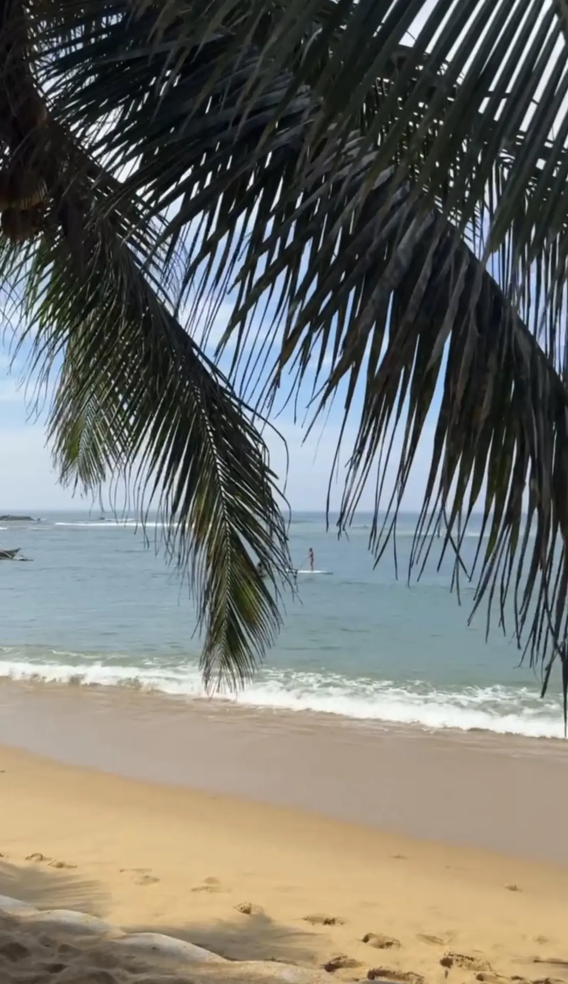 ВРЕМЯ ВЫБИРАТЬ 🌴🌴🌴