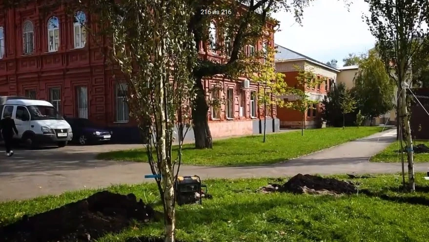 Саратов продолжают озеленять.