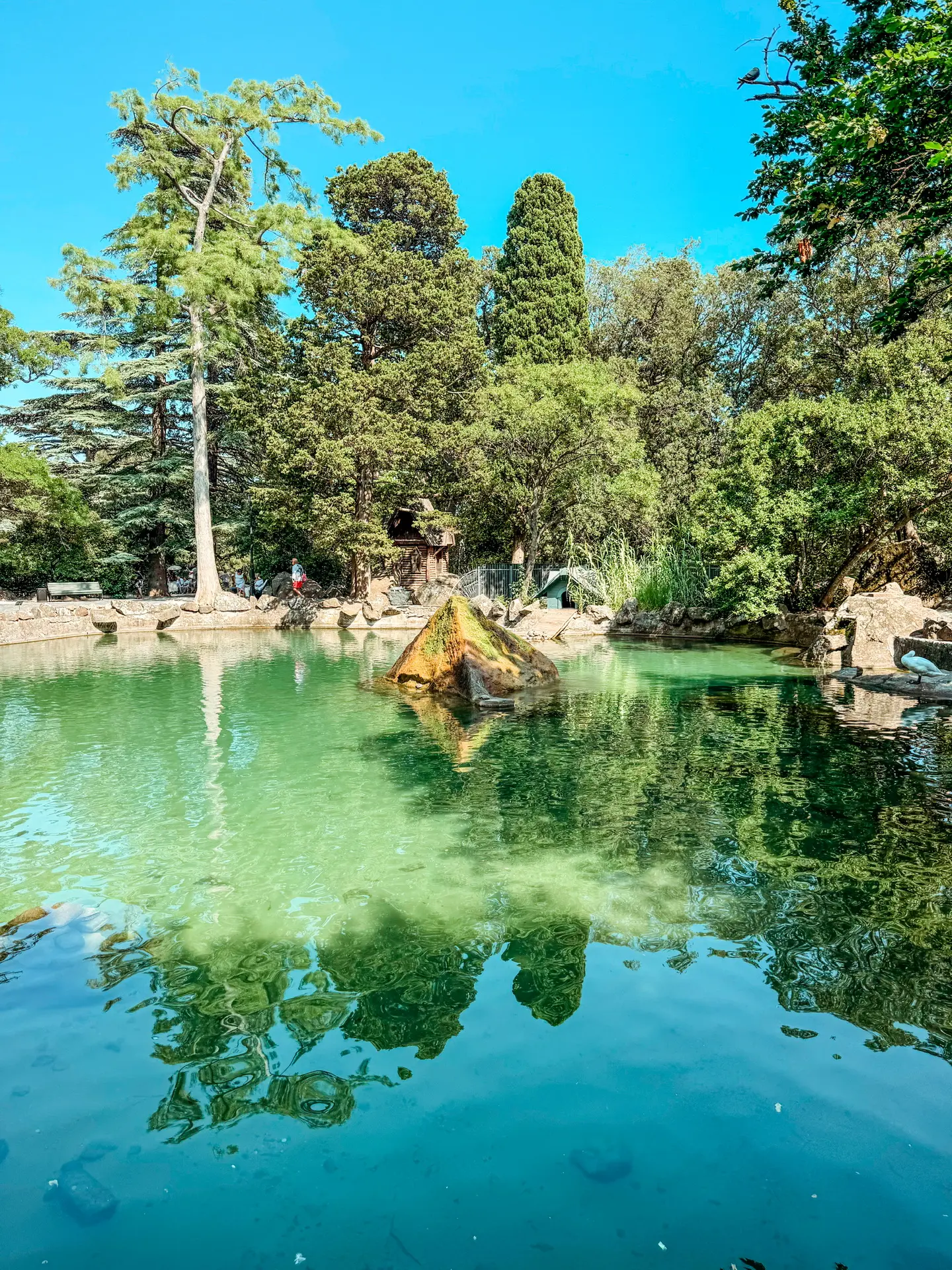 Воронцовский парк🍃🦢