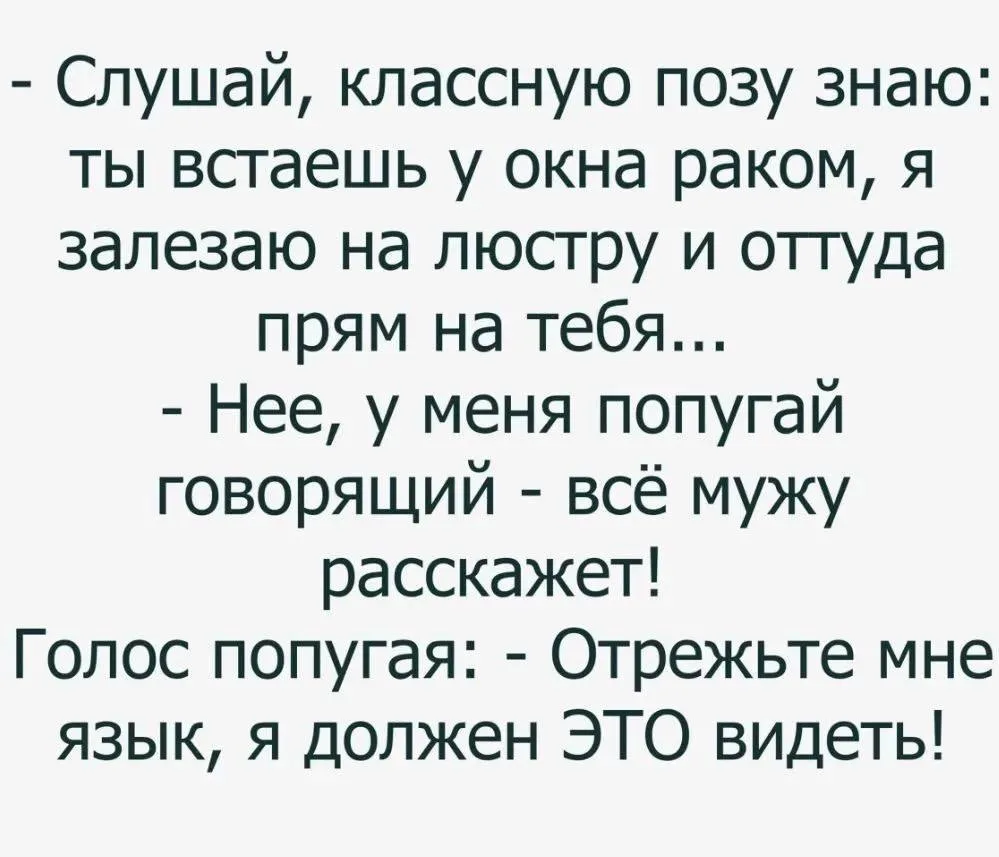 Северный Мишка
