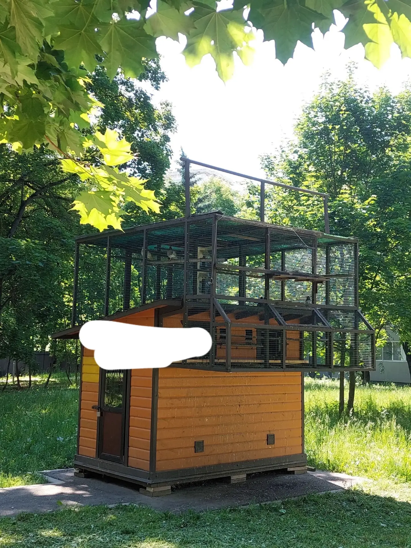 На Дмитровском, 90к2, за бывшим детсадом есть такая голубятня. Знает ли кто, когда сюда...