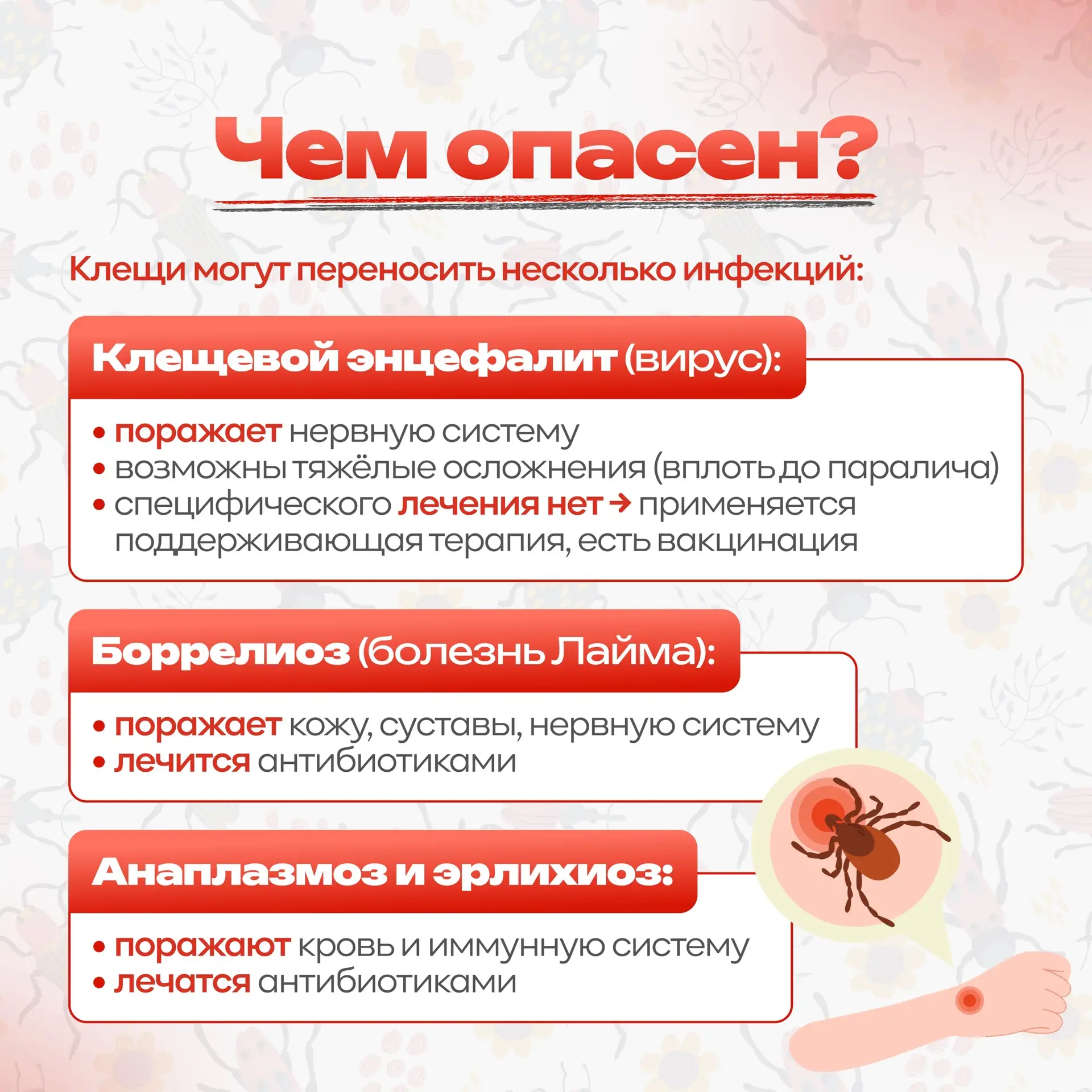🐜🔎 Ура! Мы подготовили для вас памятку «Сезон клещей»!  📘 Теперь вы точно знаете, как обезопасить се