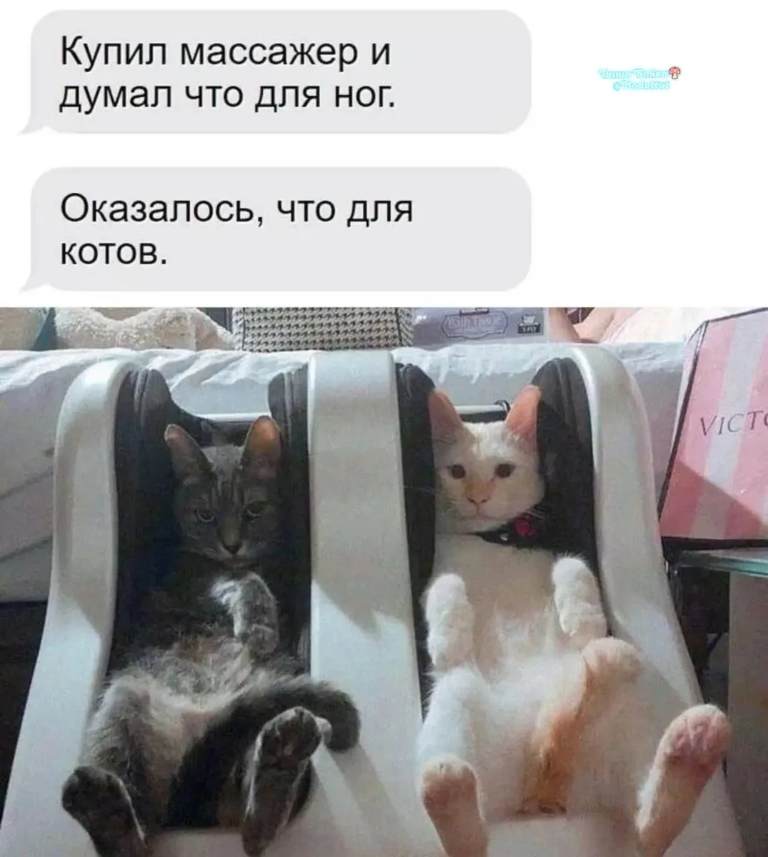 Мало ли чего ты там думал. Третью скорость включай и подай смузю из креветков!