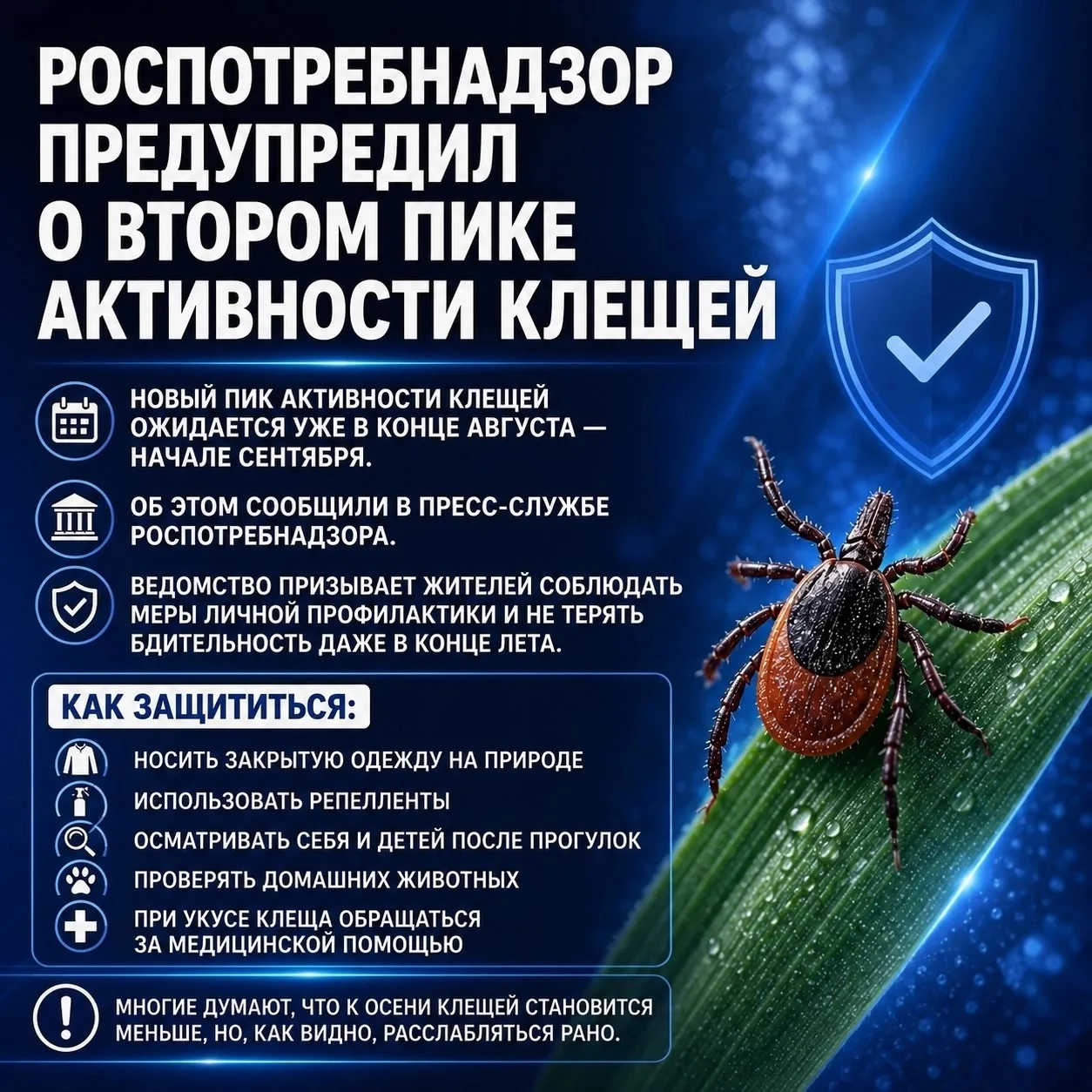 Уточняется, что риски заражения опасными клещевыми инфекциями остаются высокими, несмот...