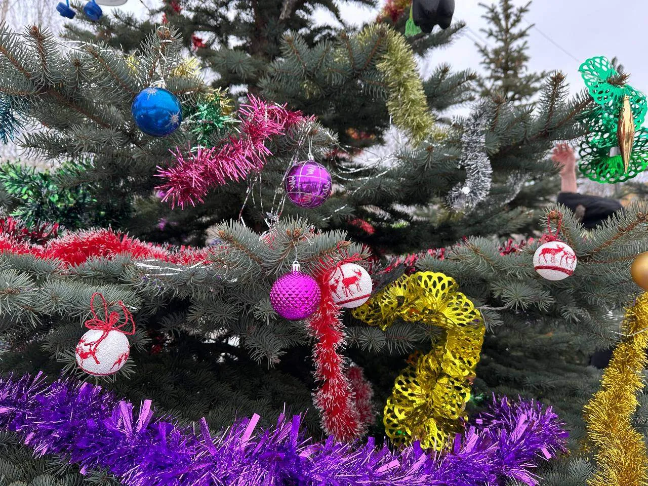 🎄 Новогодние традиции, которые объединяют 🎄  ✅ Сегодня обучающиеся 7 «В» класса нашего лицея приняли