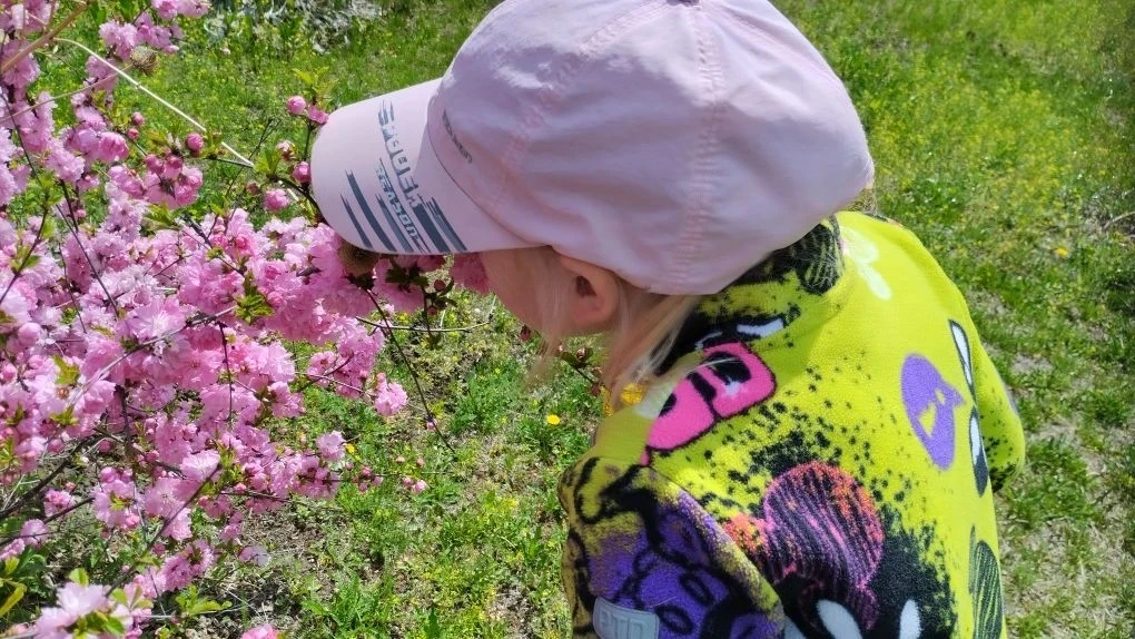 🌸Как же хорошо на площадке!