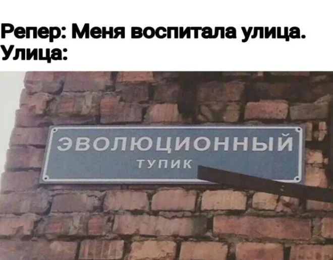 Родная альма-матер.