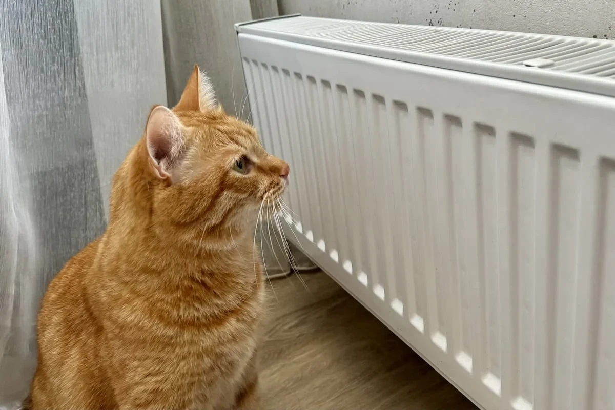 ЗАПУСК ОТОПЛЕНИЯ 🔥