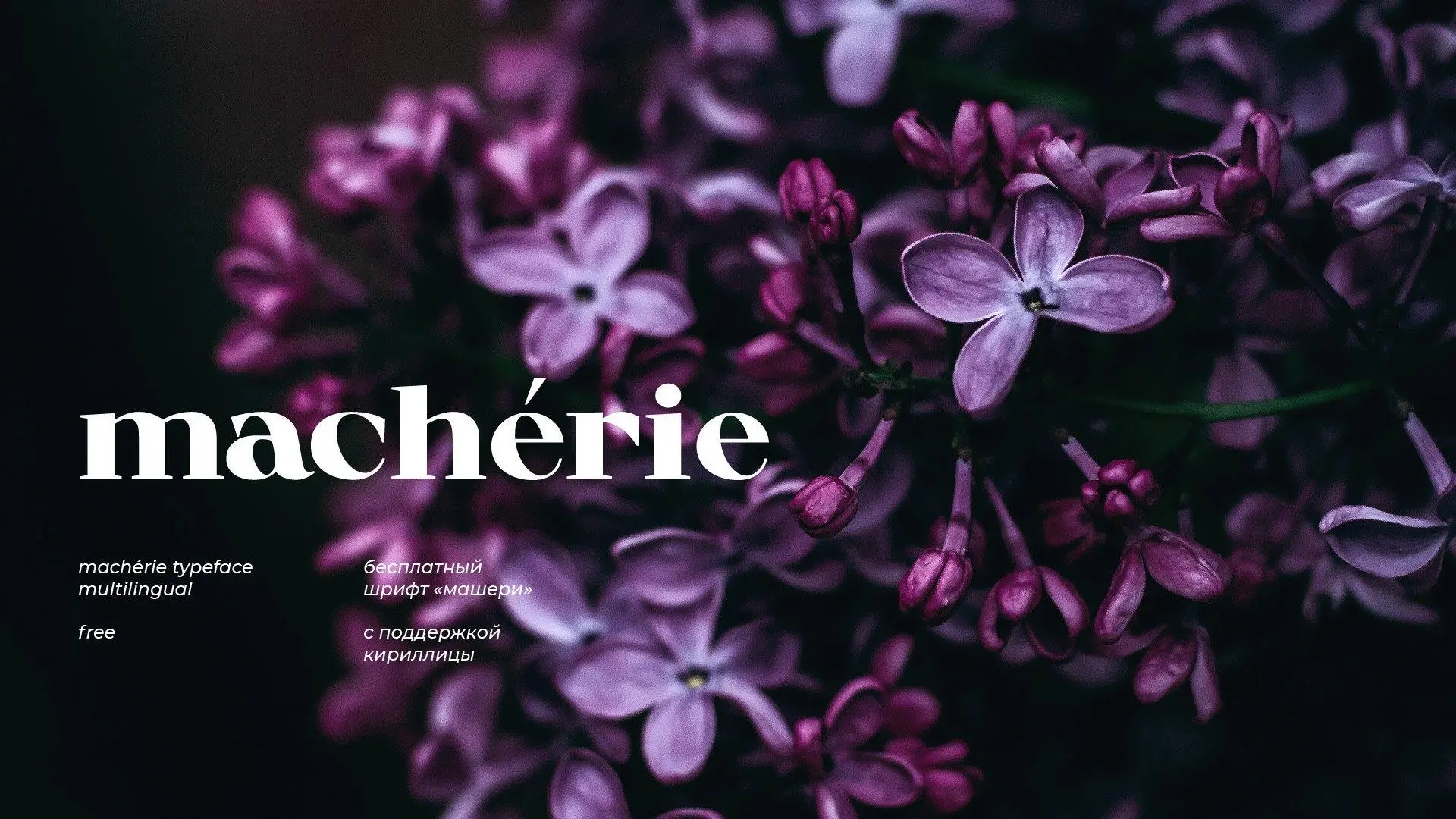 Шрифт Macherie

#Антиква

Красивый, элегантный шрифт с засечками для ваших дизайнов с поддержкой кир
