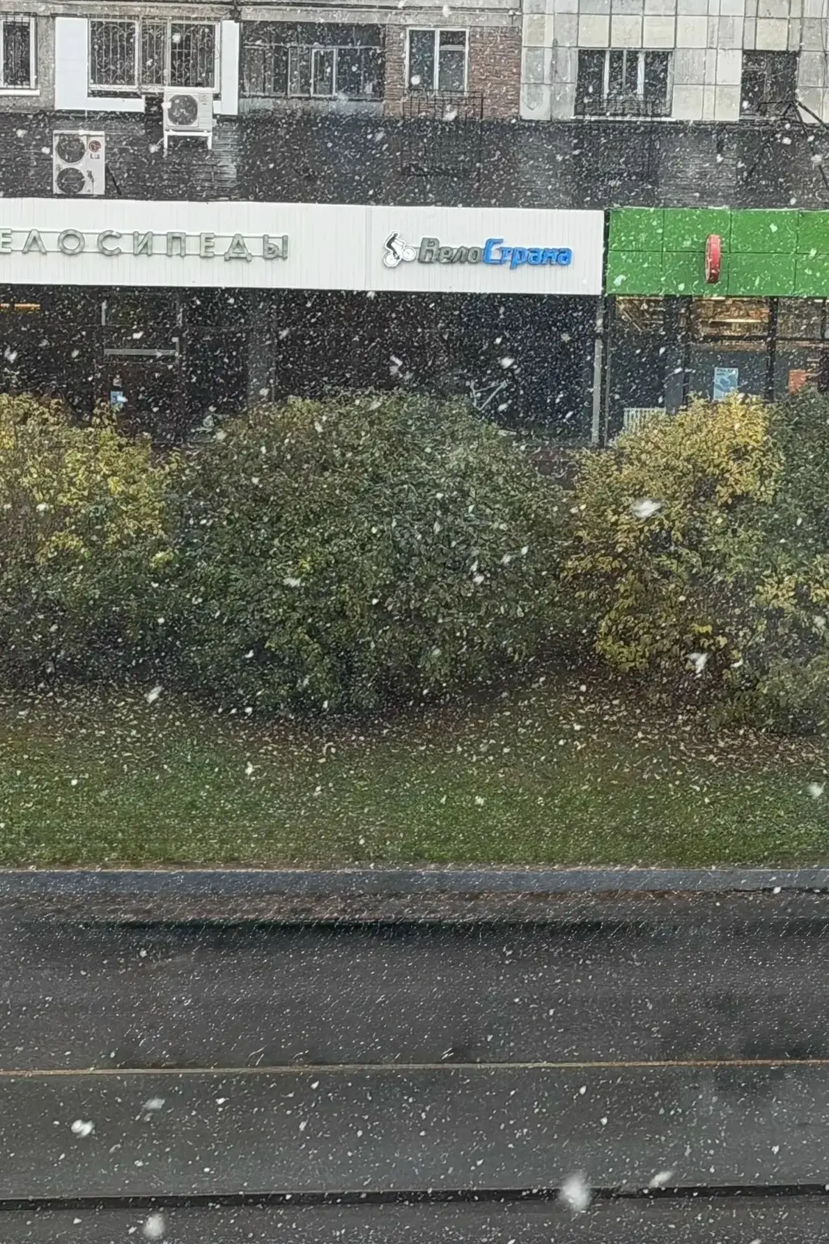 Очередное снежное утро в Тюмени ❄️