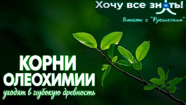 ☘️Олеохимия — это отрасль химической промышленности, которая занимается использованием ...