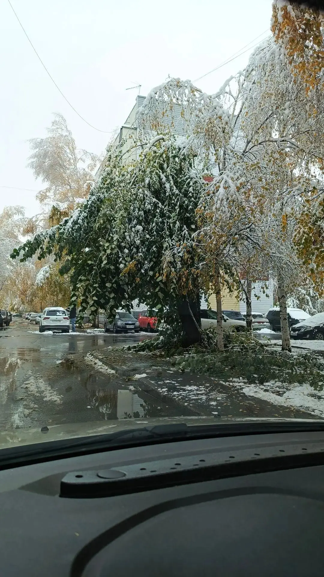 Сургут