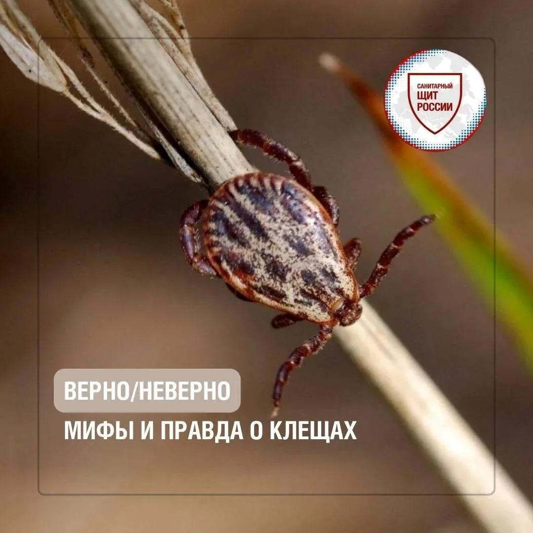 Проверяем, что из этого правда✅.