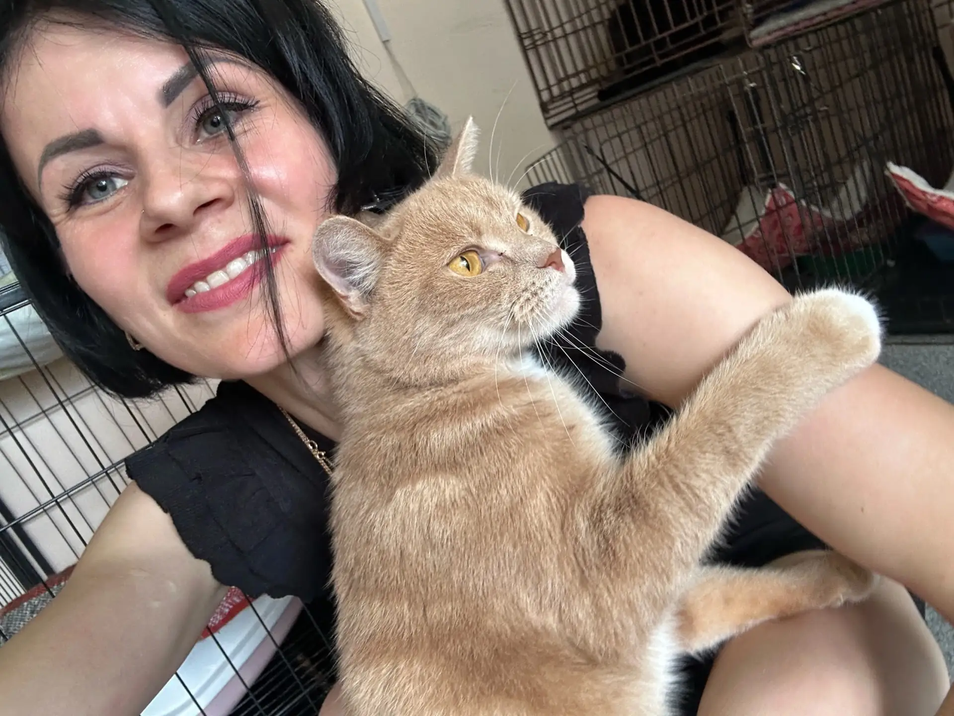 🐾 Коробки добра: Сентябрьская школа помогает четвероногим друзьям!

Добрые дела не требуют громких 