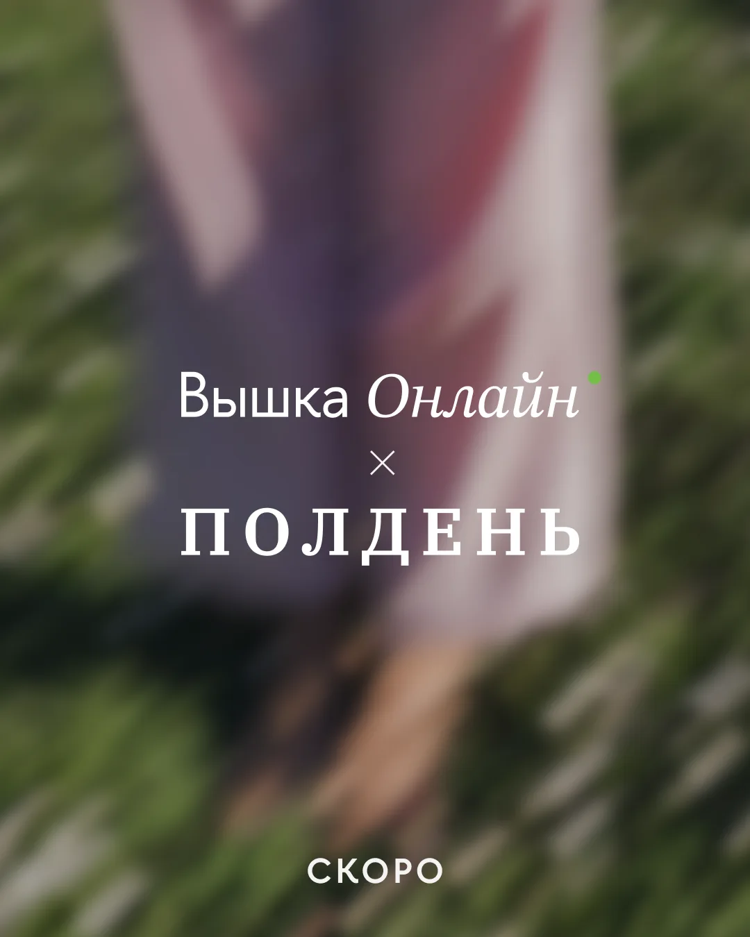 Давайте мы просто оставим это здесь 🤫🌸