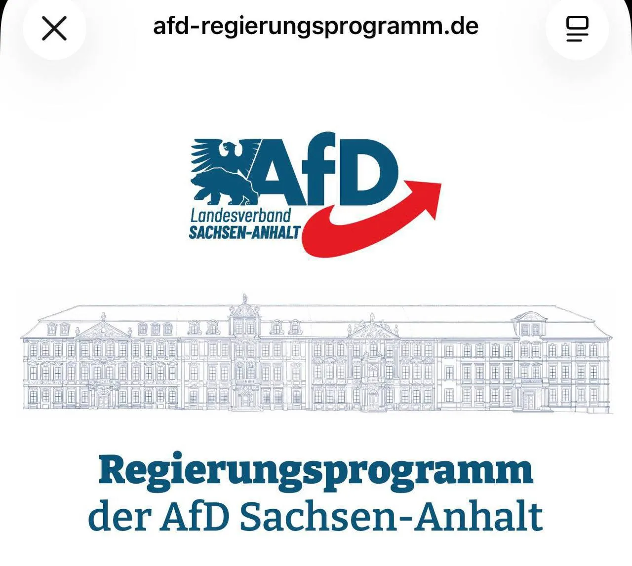 Что AfD предлагает в Саксонии-Анхальт: