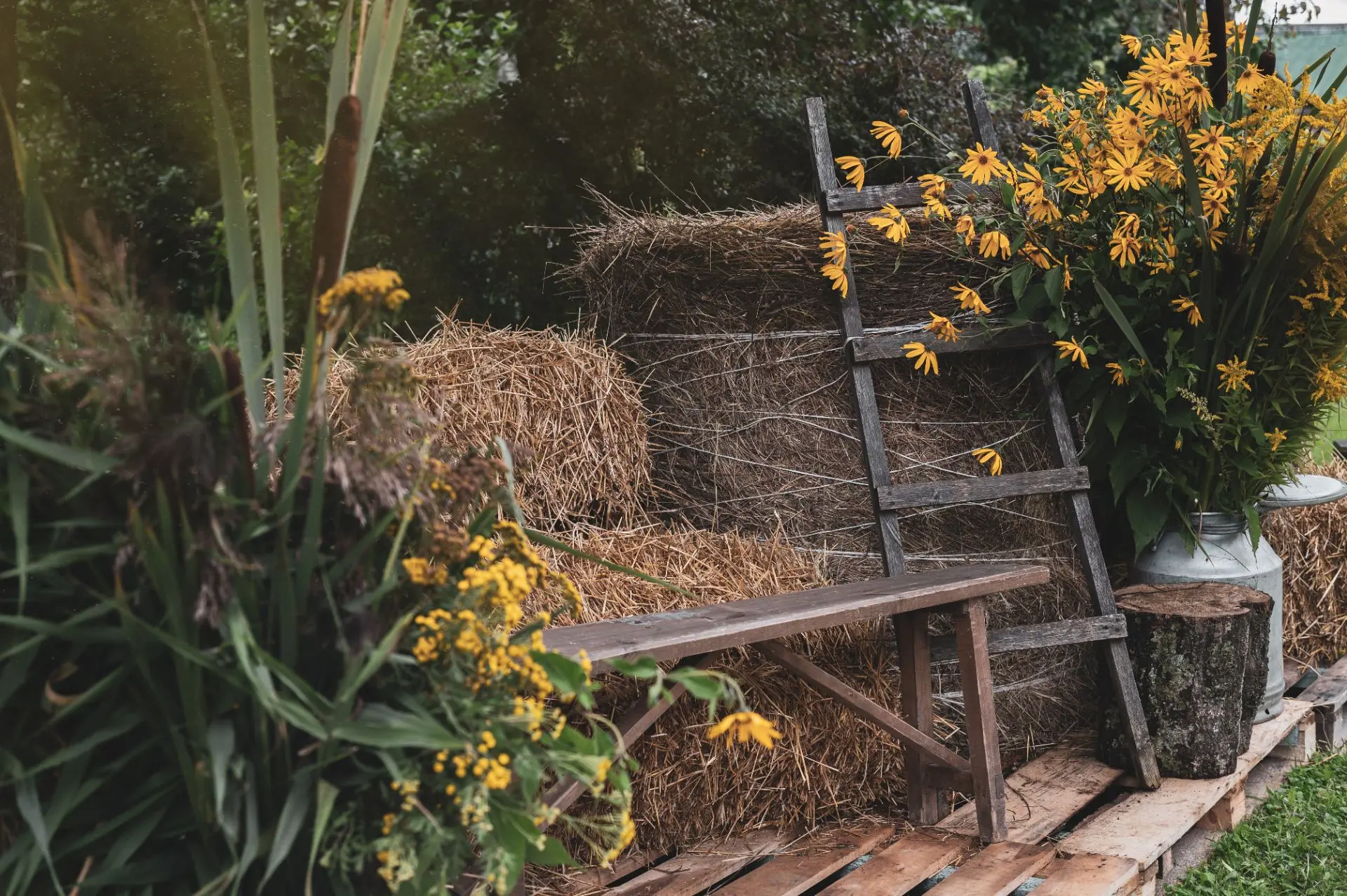 Лови момент: готова наша новая осенняя фотозона🌻